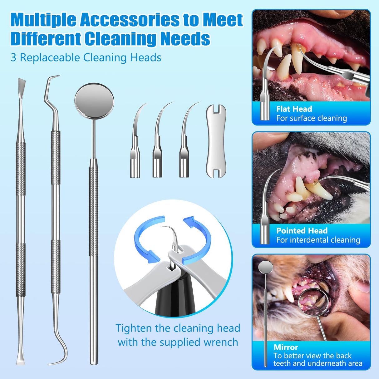 MIONJO Dog Tartar Remover for Teeth, Plaque Remover with LED Light Teeth Cleaning Kit 5 Modes for Dogs and Cats, Black