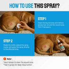Load image into Gallery viewer, Silver Dog Wound Spray Helps with Hot Spots, Irritations, Bites, Burns, Rashes, Itch, Scratching – Better Use with a Dog Cone to Stop Licking – Safe for Large and Small Breeds – 4 oz