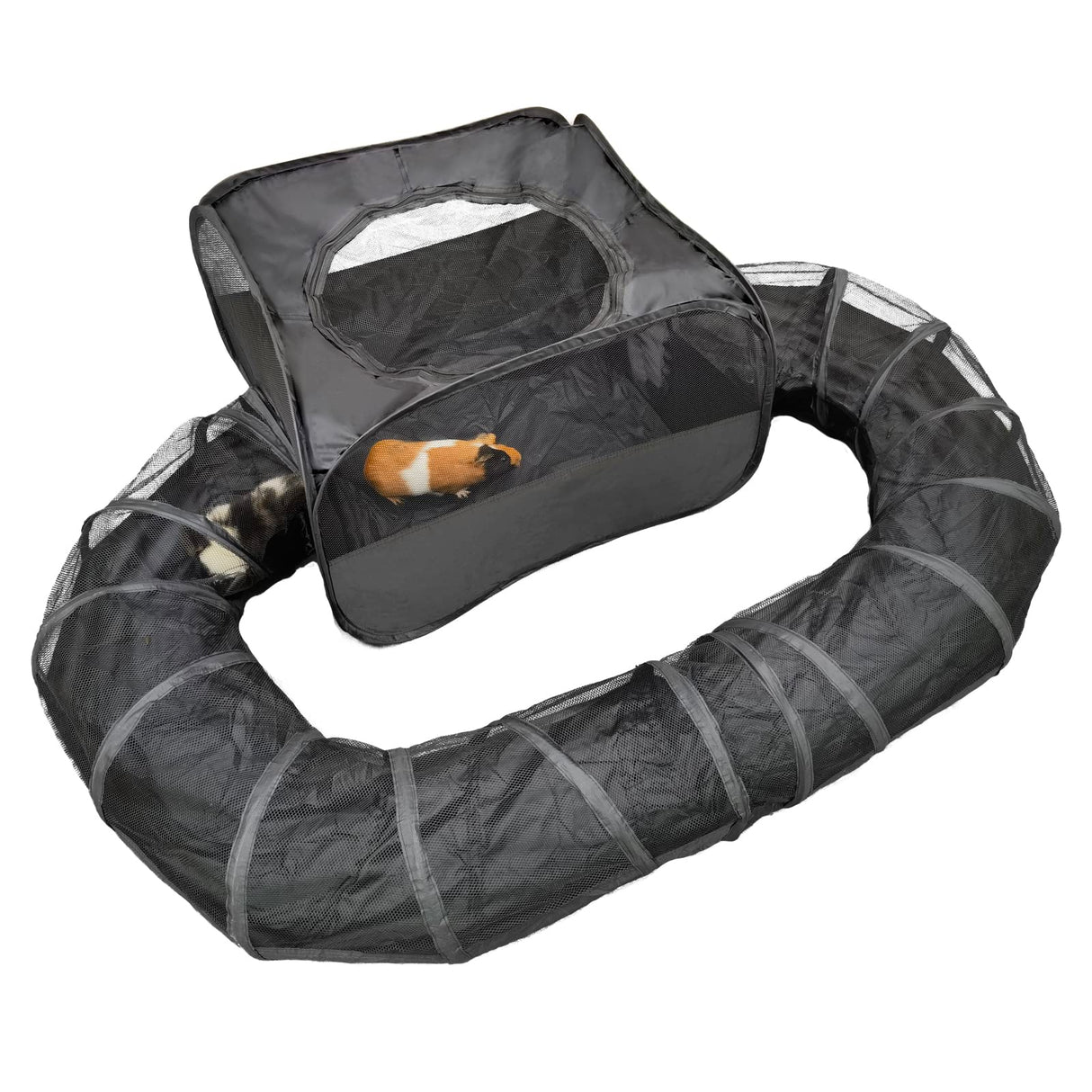 Guinea Pigs Playpen with Surround Tunnel,Pop Open Tent with Tube for Dwarf Rabbits,Chinchilla,Ferret and Other Small Animals to Run and Exercise Indoor or Outdoor (Playpen with Tunnel)