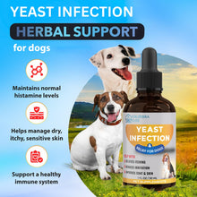 Load image into Gallery viewer, Yeast Infection Treatment for Dogs - Reduces Irritation & Inflammation - Soothing Itch Relief, Ear Infection Treatment