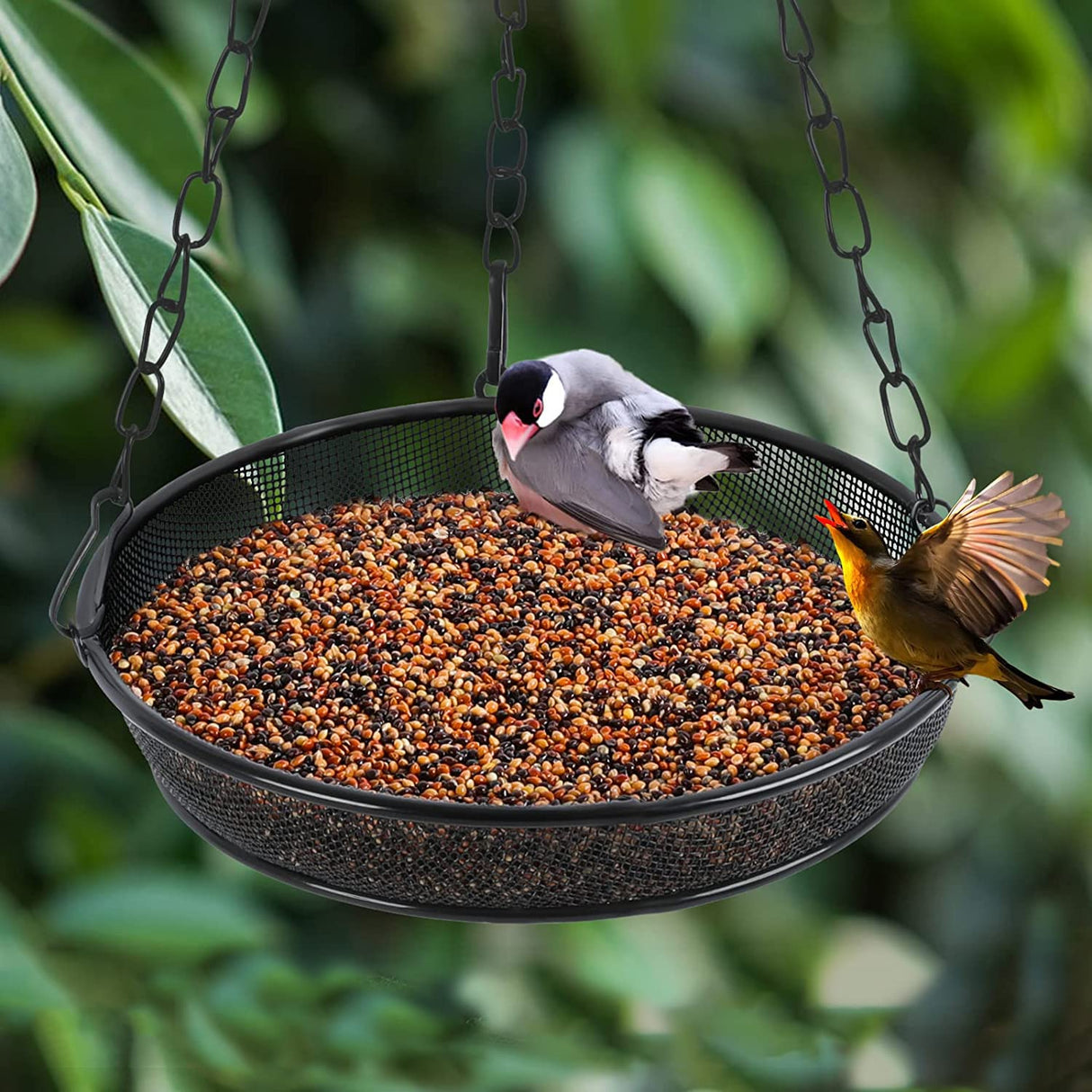 Hanging Bird Feeder, Birdfeeder Hanging for Garden Yard Outside Hanging Bird Feeder Tray - Metal Mesh Platform Feeders for Birds Outside Outdoors Hanging for Attracting Birds, 3Pcs