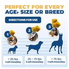 Load image into Gallery viewer, Jope Hip & Joint Supplement for Dogs Large, Medium, Small - Joint Chews w/UC-II® Collagen - Proven Better Than Glucosamine Chondroitin in Canine Health - Veterinarian Formulated, Omega 3 & Curcumin