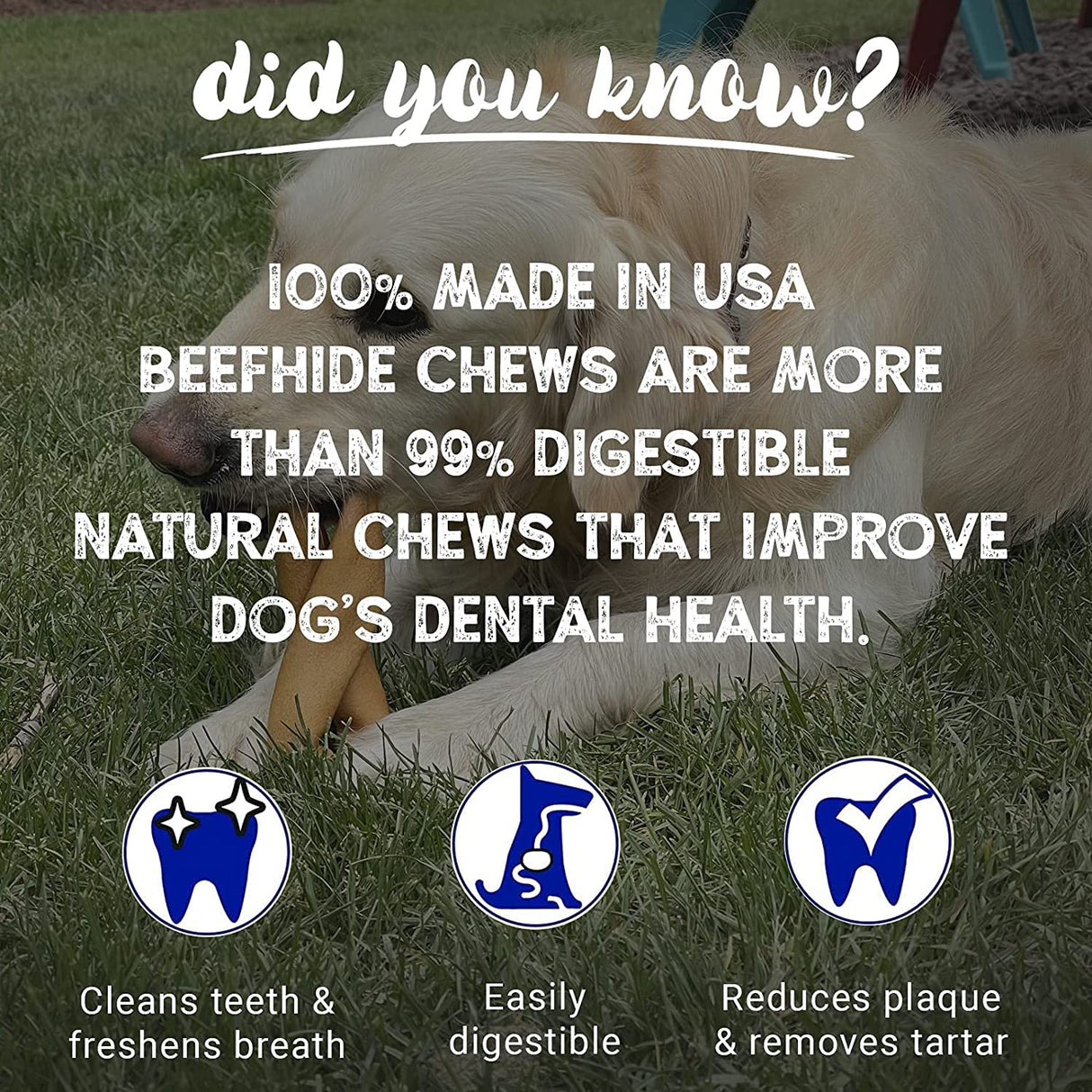 Pet Factory 7in Braided Beefhide Dog Chew Sticks with Peanut Butter Flavor - 100% USA Made Rawhide Chews for Medium Dogs, Long Lasting Dental Health, 7 inches (Pack of 6)