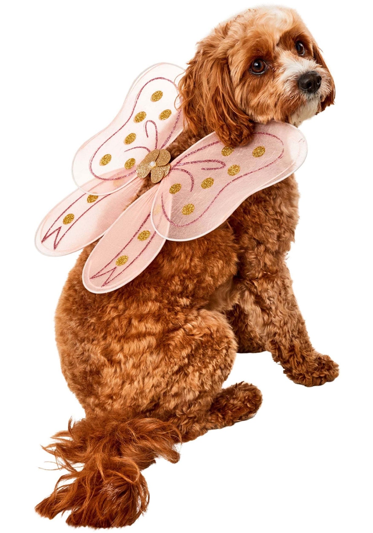 Rubies Fairy Wings Pet Costume for Dogs or Cats, M/L