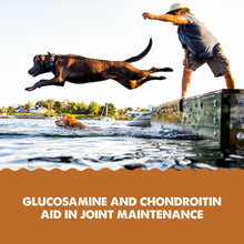 Load image into Gallery viewer, Grizzly Pet Products Joint Aid Liquid Hip and Joint Health Supplement Product for Dogs and Cats, 32 Ounce