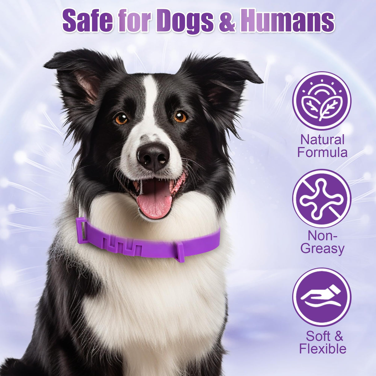 4 Pack Flea Collar for Dogs, Adjustable Flea & Tick Prevention Collars with Comb for Small Medium and Large Dog, Waterproof Flea Control Collar Safe for All Breeds, 25 inch