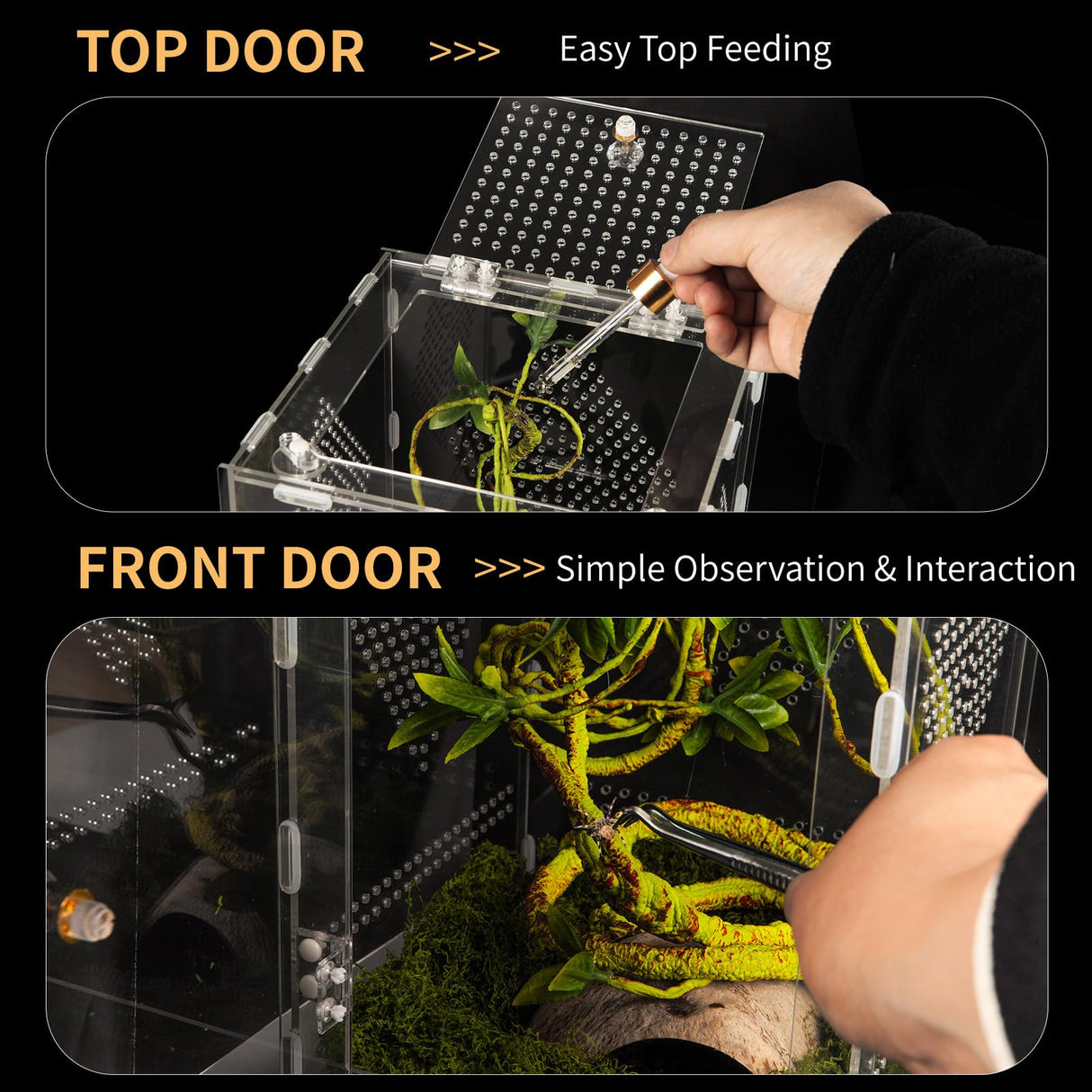 Acrylic Reptile Terrarium Easy Assembly, 360° Clear & Keep Pet Secure Design for Jumping Spiders, Tarantulas, Geckos Scratch-Resistant Large Ventilated Habitat Terrarium for Arachnids 11.8*7.9*7.9in