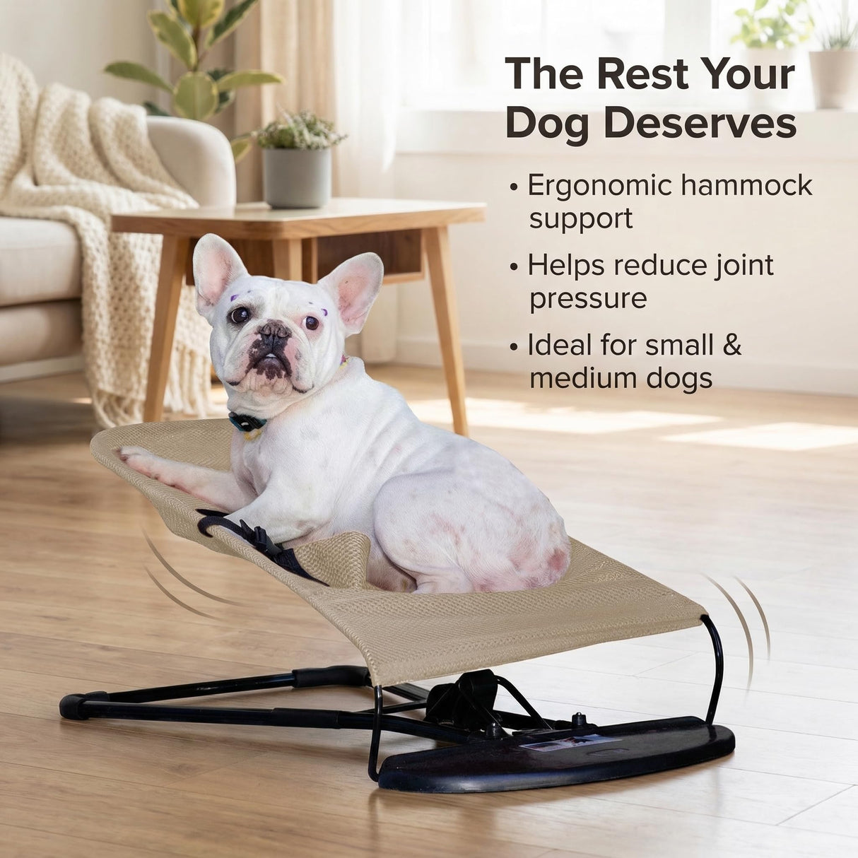 Cat & Dog Rocking Chair - Bouncer Bed for Frenchie, French Bulldog Lounge, Outdoor Portable Foldable Pet Furniture. Adjustable Height, Breathable Mesh, Safety Harness for Small Animals & Puppies