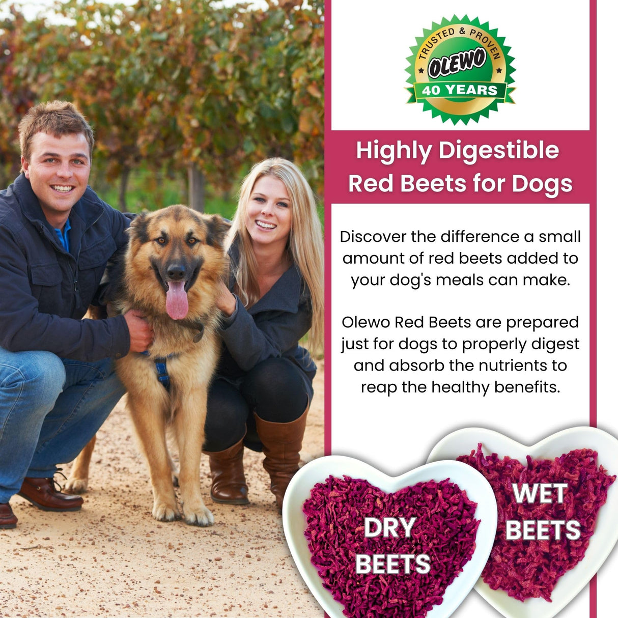 Olewo Original Red Beets Dog Food Topper – Natural Anti Itch, Immune, Cleansing, Skin & Coat Support, Dehydrated Whole Food Multivitamin, Fiber for Dogs, 1 lb