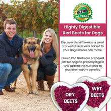 Load image into Gallery viewer, Olewo Original Red Beets Dog Food Topper – Natural Anti Itch, Immune, Cleansing, Skin & Coat Support, Dehydrated Whole Food Multivitamin, Fiber for Dogs, 1 lb