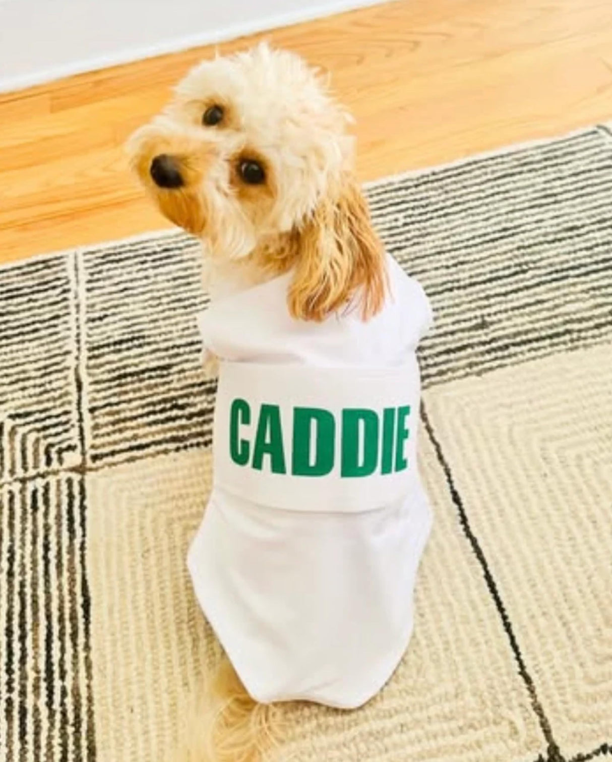 Golf Caddie Bib for Dogs (White) - Personalized Golf Caddy Bib