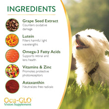 Load image into Gallery viewer, Ocu-GLO PB Vision Supplement for Small Dogs & Cats – Easy to Administer Powder Blend with Lutein, Omega-3 Fatty Acids, Grape Seed Extract and Antioxidants to Promote Eye Health, 30ct Sprinkle Capsules