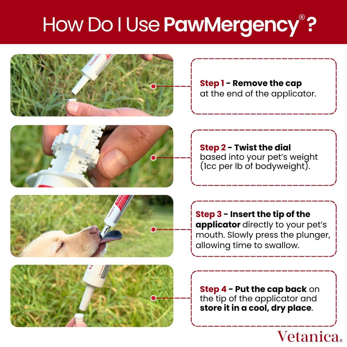 PawMergency – Activated Charcoal First Aid Kit Emergency Rescue for Dogs, Cats, Puppy & Pet Poison Kit, Camping Survival Remedy Essential,Oral Anti Diarrhea Digestive Paste Ready Absorb Toxins (30mL)