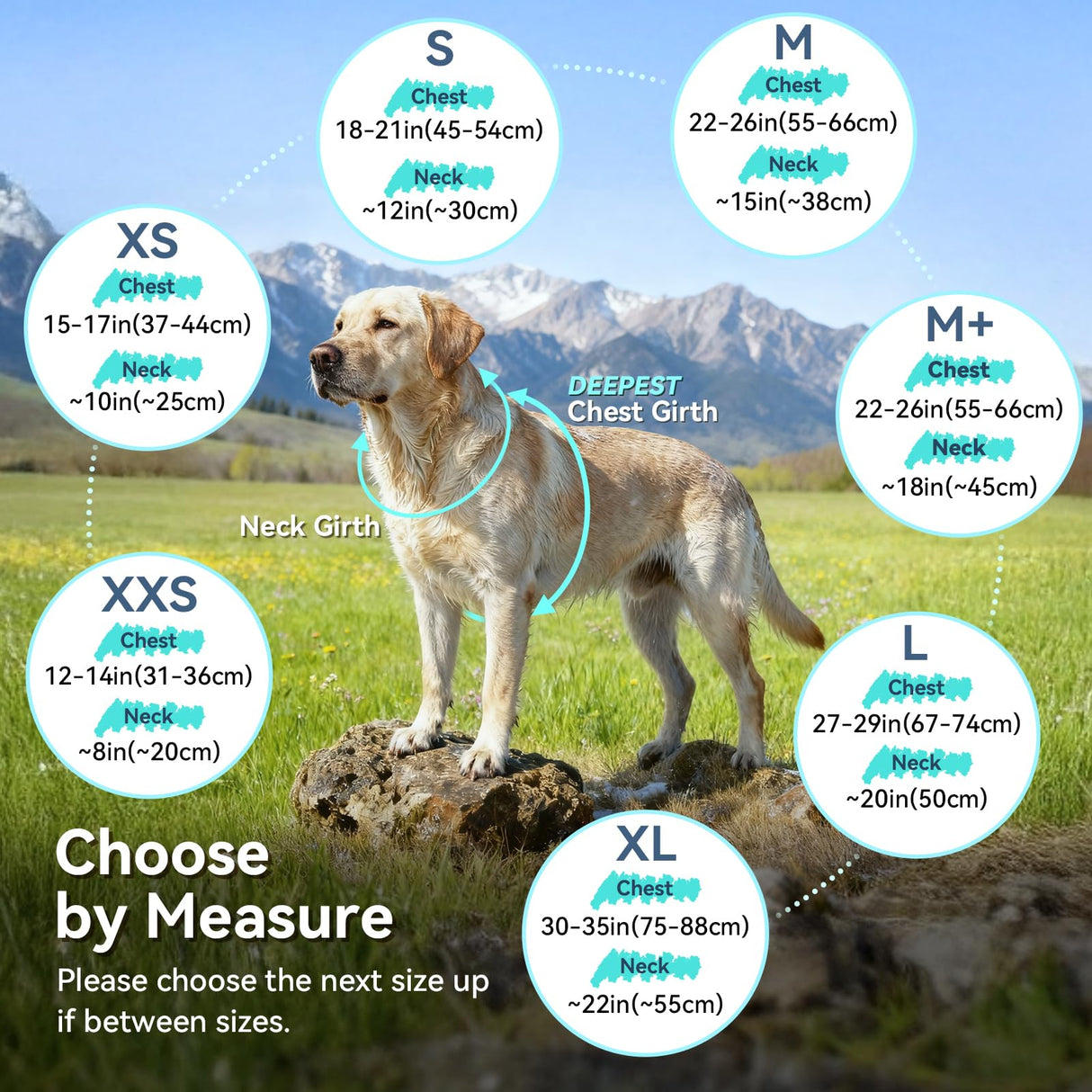 VIVAGLORY Softpad Dog Fleece Vest, Dog Fleece Jacket for Fall & Spring, Coat with Harness Hole, Reflective Light Weight Soft Easy On Adjustable, XS, Beige