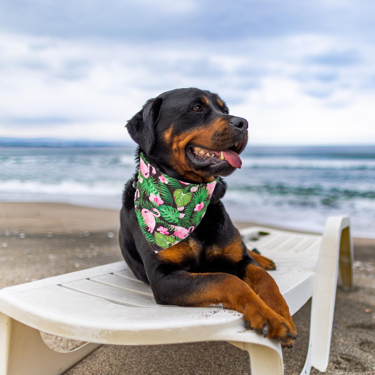 ADOGGYGO Summer Hawaii Dog Bandana, 6 Pack Flamingo & Fruit Pattern Triangle Summer Bandanas for Extra Large Dogs Pets (X-Large)
