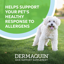 Load image into Gallery viewer, Nutramax Dermaquin Skin Support Supplement for Small to Medium Dogs and Cats, Supports Healthy Response to Allergens, with Hardy Kiwi, Omega-3s, and More, Tasty Soft Chews, 60 Count