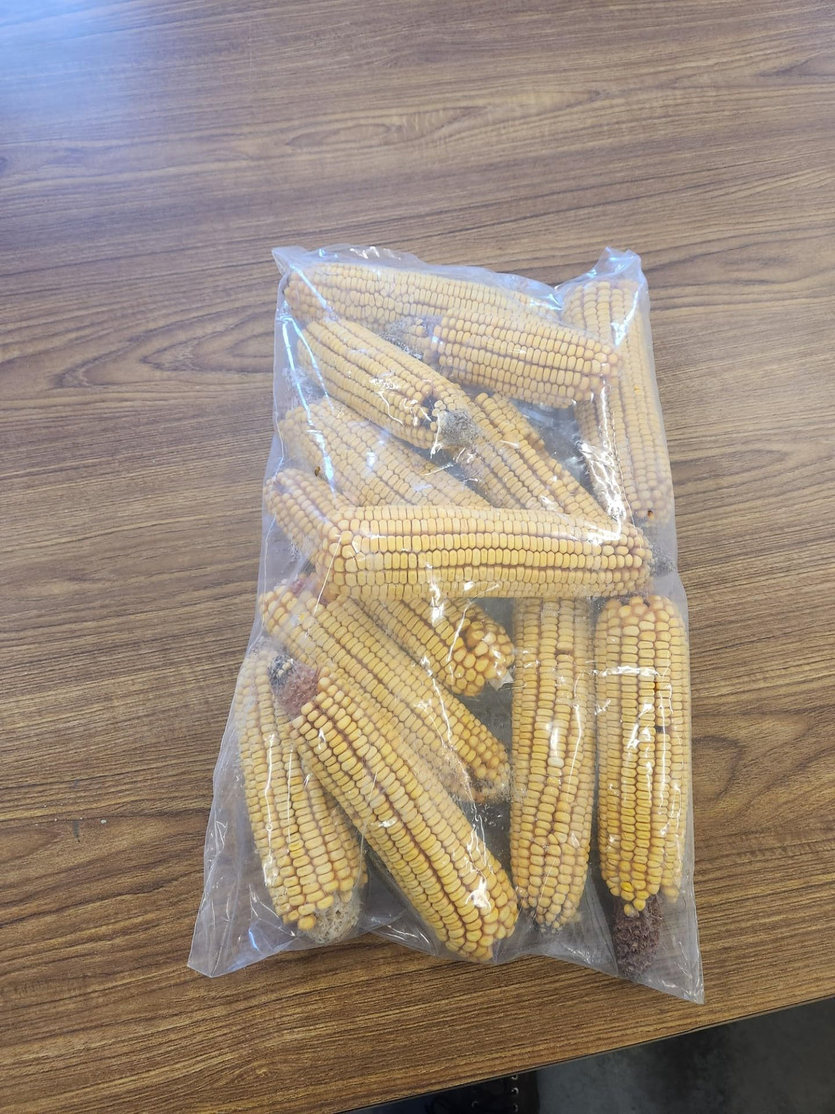 Disbro Farms Ear Corn 6.5 pounds