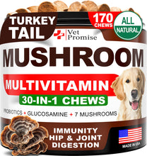 Load image into Gallery viewer, Turkey Tail Mushroom for Dogs - 170 Chews - Mushroom Supplement for Dogs - Lions Mane - Reishi - Immunity Support Multivitamin Vitamins - Joint Health - Energy - Gut - Skin - Made in USA