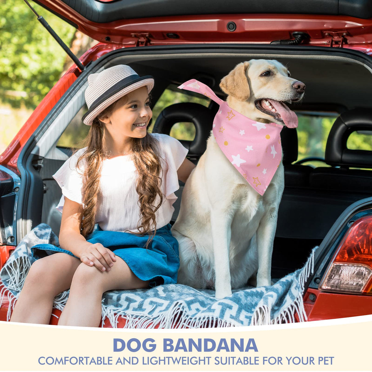 Silkfly 30 Pack Dog Bandanas Bulk Buffalo Plaid Dog Bandana Summer Spring Cat Puppy Bibs Washable Scarf Triangle Adjustable Daily Handkerchief Pet Costume Outfit for Small Medium Girl and Boy