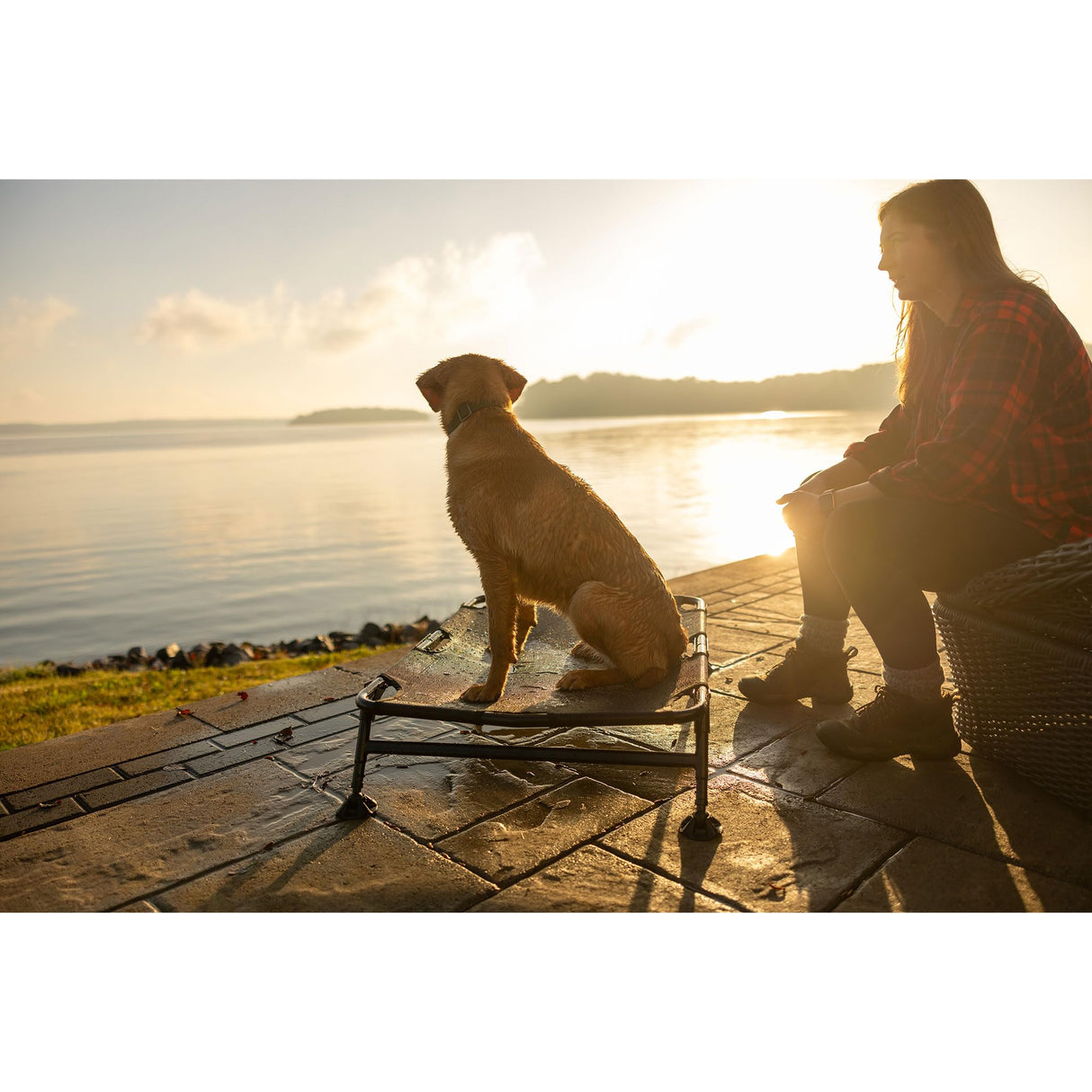 Momarsh Home Cot Breeze Elevated Pet Bed | Non Slip Feet with Breathable Mesh | Portable Dog Cot | Hot Spot Reducing | All in One Large Dog Bed for Indoor and Outdoor Use