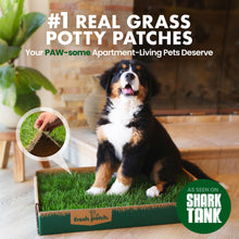 Load image into Gallery viewer, Fresh Patch Real Grass Patch for Dogs, Cats, and Small-Medium Pets Under 15 Pounds – Disposable Pet Grass Pee Pads – Indoor and Outdoor Potty Training Mat (16 Inches x 24 Inches)