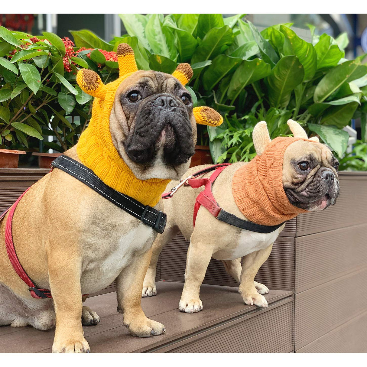 iChoue Dog Yellow Giraffe Knitted Snood Ear Muffs Calming Hoodie Anxiety Relief Noise Canceling Headband Protection Cover Hood - Large