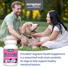 Load image into Gallery viewer, Nutramax Proviable Probiotics for Dogs, Daily Digestive Health Supplement with Multiple Strains of Bacteria, Dog Probiotics Plus Prebiotics, 60 Chewable Tablets