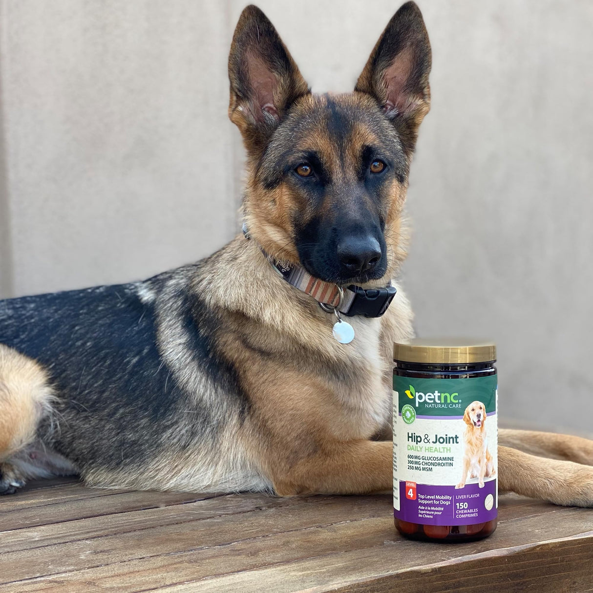 Petnc Level-4 Hip & Joint Health Supplement for Dogs (150 Count), Glucosamine Chondroitin MSM Dog Chews with Manganese, Liver-Flavored Bone & Joint Support Supplement