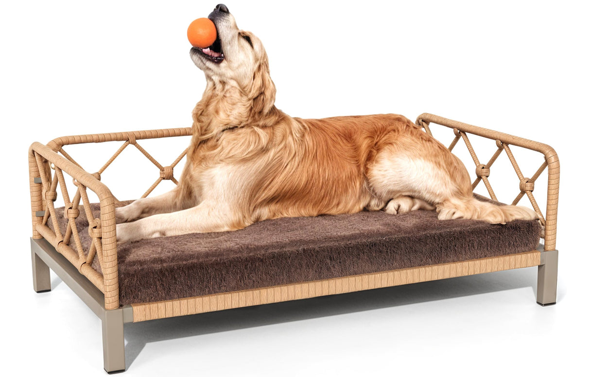 wallowsun Dog Bed with Cushion, Cooling Elevated Raised Beds with Rattan Breathable Mesh and Universal Mat, Indoor & Outdoor Pet Cots for Large Dog, Brown
