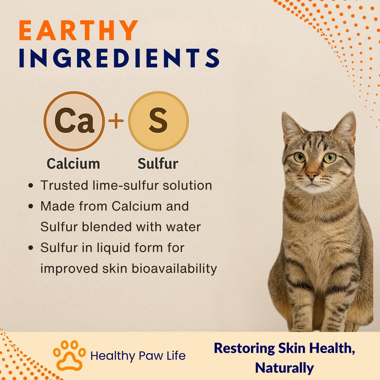 Healthy Paw Life - Lime Sulfur Dip - Pet Care for Itchy and Dry Skin - Xtra Strength Formula - Safe Solution for Dog, Cat, Puppy, Kitten, Horse (1 Gallon)