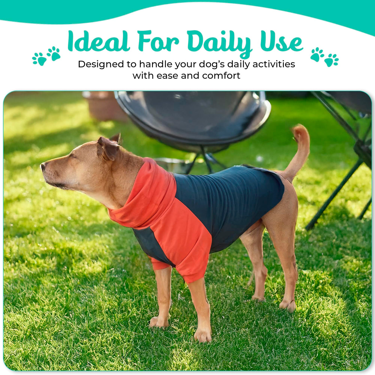 Tooth & Honey Pitbull Dog Sweater - Dark Green & Orange (Large)