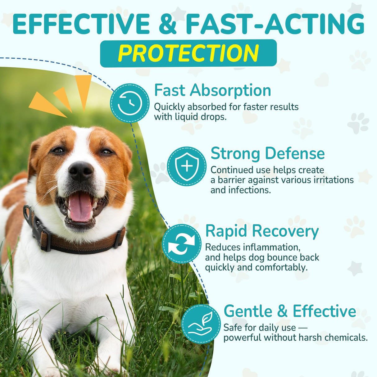 Woyamay Antibiotics for Dogs | Natural Dog Antibiotics for Allergy Relief, Itch Relief, Coughs, Skin Health, Breath Treatment, Digestion | Herbal Supplement to Care for Ears, Eyes & Coat, 2 Fl Oz