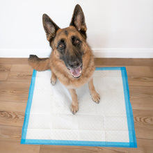 Load image into Gallery viewer, Four Paws Wee-Wee Superior Performance Unscented Extra-Large Pee Pads for Dogs & Puppies, Quilted Leak-Proof Dog Housebreaking Potty Training Floor Protection, 28" x 34", 40 Count