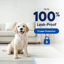 Load image into Gallery viewer, Puppy Pads Pet Pee Pads for Dogs & Puppy Training - 100 Count - Potty Pads for Dogs 22" x 22" Leak-Proof Dog Pee Pads - Quick-Dry Surface - Heavy Duty Absorbent Disposable Dog Wee Pad Bulk Pack