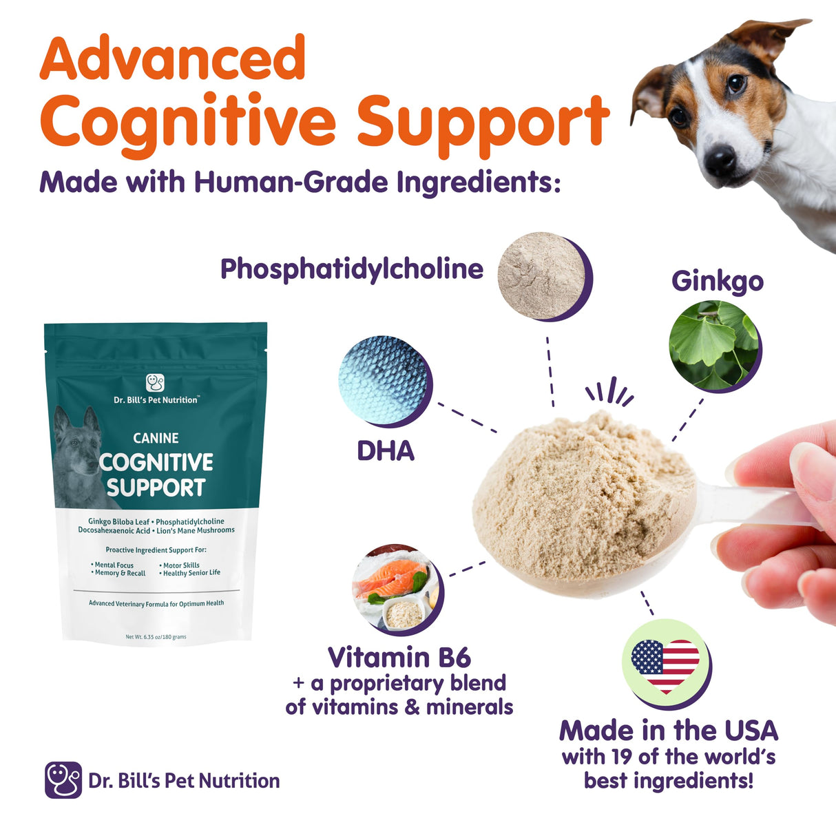 Dr. Bill’s Canine Cognitive Support | Memory Support Supplement Multivitamin for Dogs | Contains Gingko Biloba, L-Carnosine, Vitamin B-12, L-Glutamine, L-Tyrosine, and DHA for Adult and Senior Dog