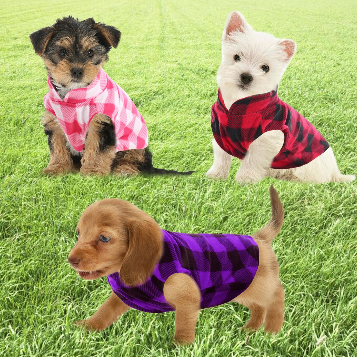 Kama Bridal 3 Pack Dog Coat - Spring, Autumn, Winter - Fleece Vest for Cats & Small/Medium Dogs - Red, Pink, Purple Plaid (L)