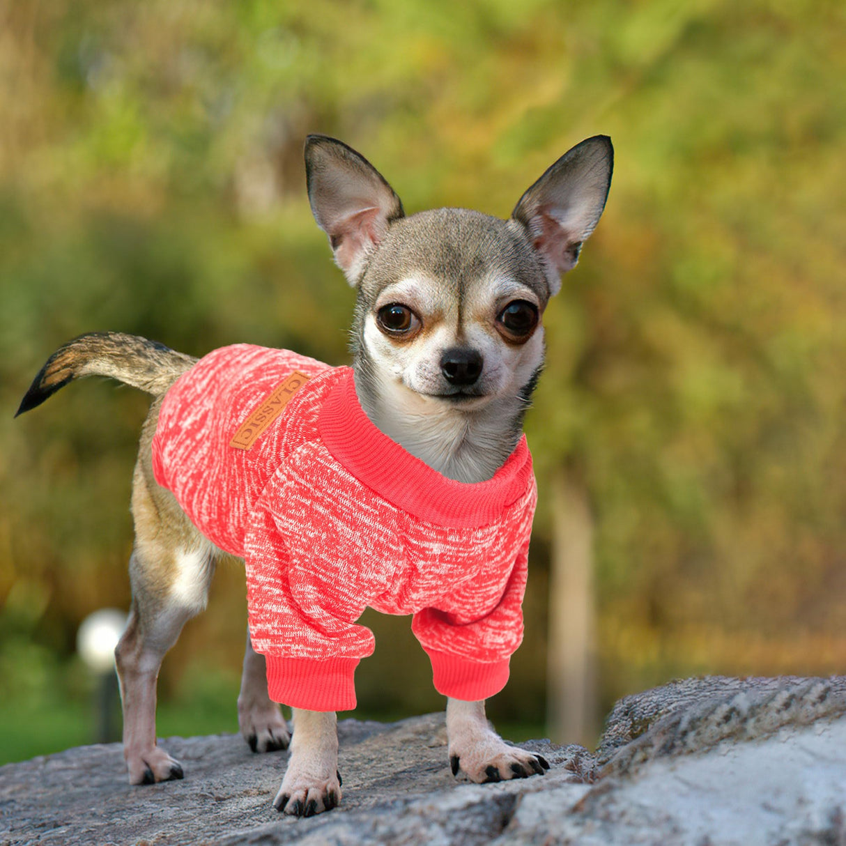 2 Pieces Dog Sweaters for Small Dogs Dog Clothes Female Winter Fleece Puppy Sweaters Warm Pet Outfit for Yorkie, Chihuahua, Bulldog, Dachshund, Pug