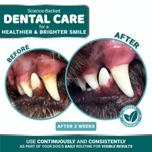 Load image into Gallery viewer, Advanced Dog Dental Powder, Breath Freshener with Multivitamin, Dog Teeth Cleaning, Bad Breath & Tartar and Plaque Off Remover for Dogs Probiotics lab co, Pet Oral Care - Vitamins and Supplements