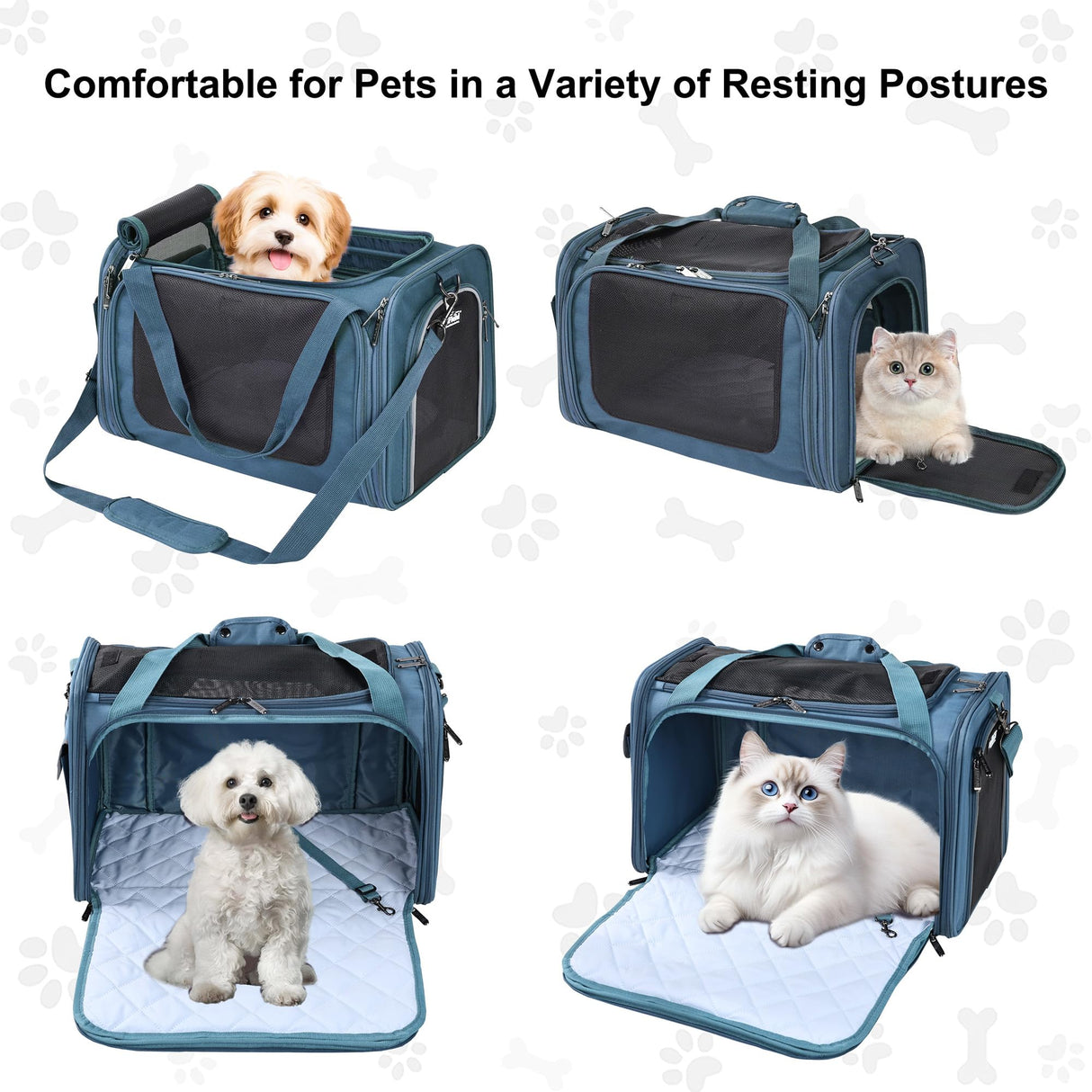 EliteField Deluxe Soft-Sided Pet Carrier (3 Year Warranty, Airline Approved), Travel Bag for Dogs, Cats & Small Pets, with Expandable Mat