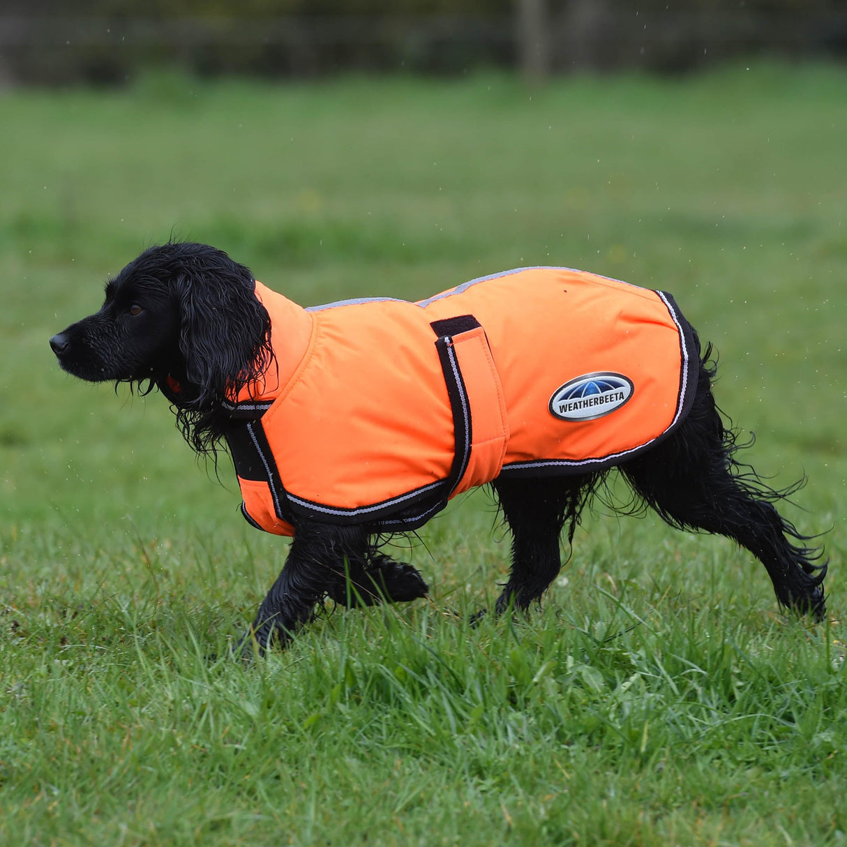 WeatherBeeta ComFiTec Reflective Parka 300D Deluxe Dog Coat, Orange, 14"