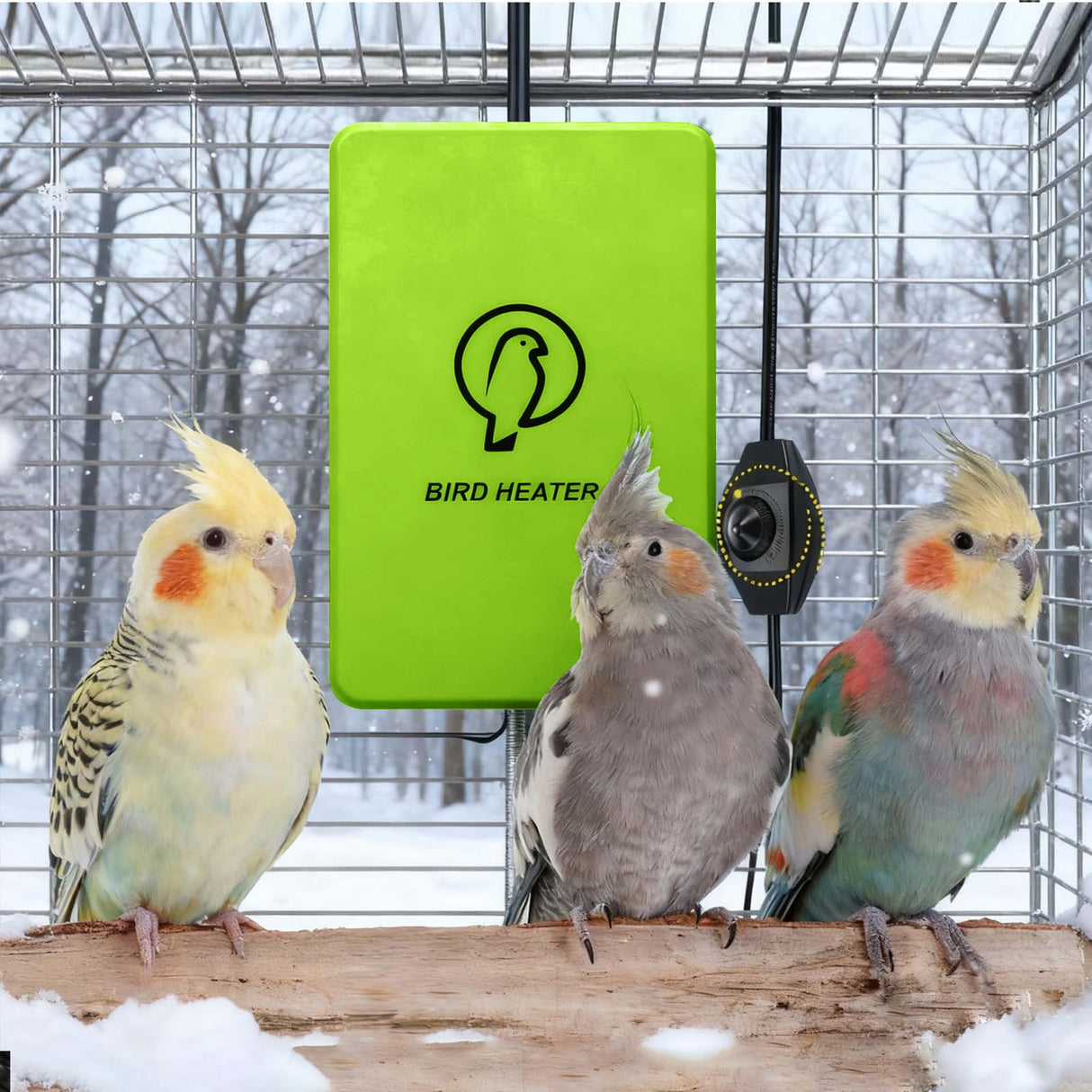 Kokopro Bird Heater for Cage - Snuggle Up Bird Warmer for Exotic Pet Birds, 10W African Grey, Parakeets, Parrots, (3.7"x5.7")