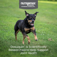 Load image into Gallery viewer, Nutramax Dasuquin for Small to Medium Dogs, Joint Health Supplement, Contains Glucosamine for Dogs, Plus Chondroitin, ASU and More, Supports Healthy Joints, Chewable Tablets, 84 Count