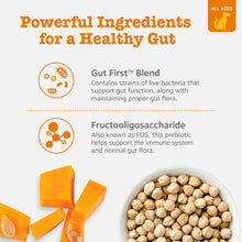 Load image into Gallery viewer, Zesty Paws Probiotics for Dogs, Digestive Enzymes Gut Flora, Digestive Health, Diarrhea & Bowel Support, DE111, Dog Probiotic Soft Chew for Pet Immune System, Pumpkin, 250 Ct