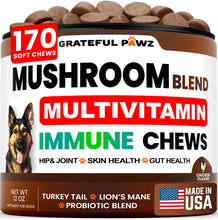 Load image into Gallery viewer, Turkey Tail Mushroom Supplement for Dogs - 170 Chews - Mushrooms for Dogs - Reishi, Lion’s Mane, Glucosamine Multivitamin - Immune Booster, Gut, Hip & Joint Health Support Vitamins, Energy & Skin