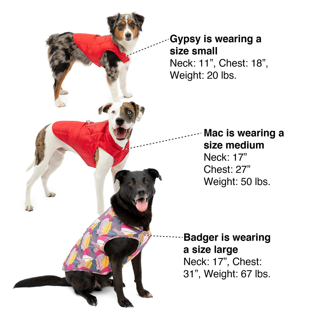 Kurgo Loft Dog Jacket - Reversible Cozy Coat for Outdoor Adventures - Water Resistant - Athletic Fit - Machine Washable Fabric - Reflective Dog Gear - X-Large - Pressed Leaf