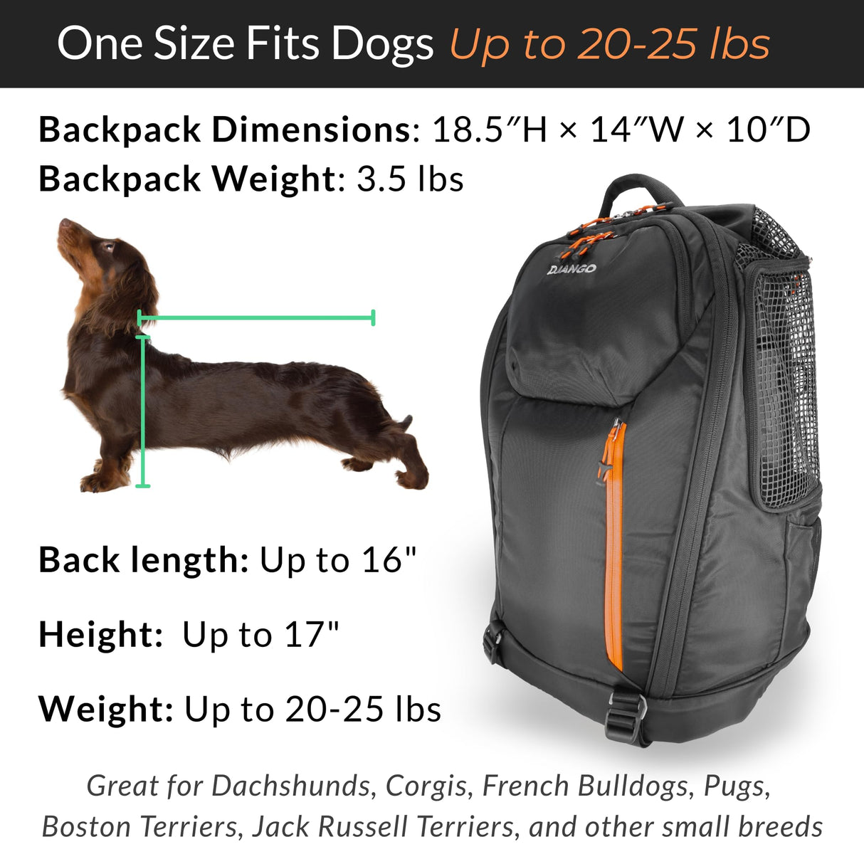 DJANGO Dog Carrier Backpack – Pet Backpack for Small Dogs & Cats with Hip Belt, Laptop Pocket & Water Bottle Sleeve – Travel Dog & Cat Carrier for Hiking, Camping & Commuting (Midnight Black)