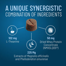 Load image into Gallery viewer, Nutramax Solliquin Calming Support for Dogs, Behavioral Health Supplement with L-Theanine, Magnolia/Phellodendron, and Whey Protein Concentrate, Soft Chews, 75 Count