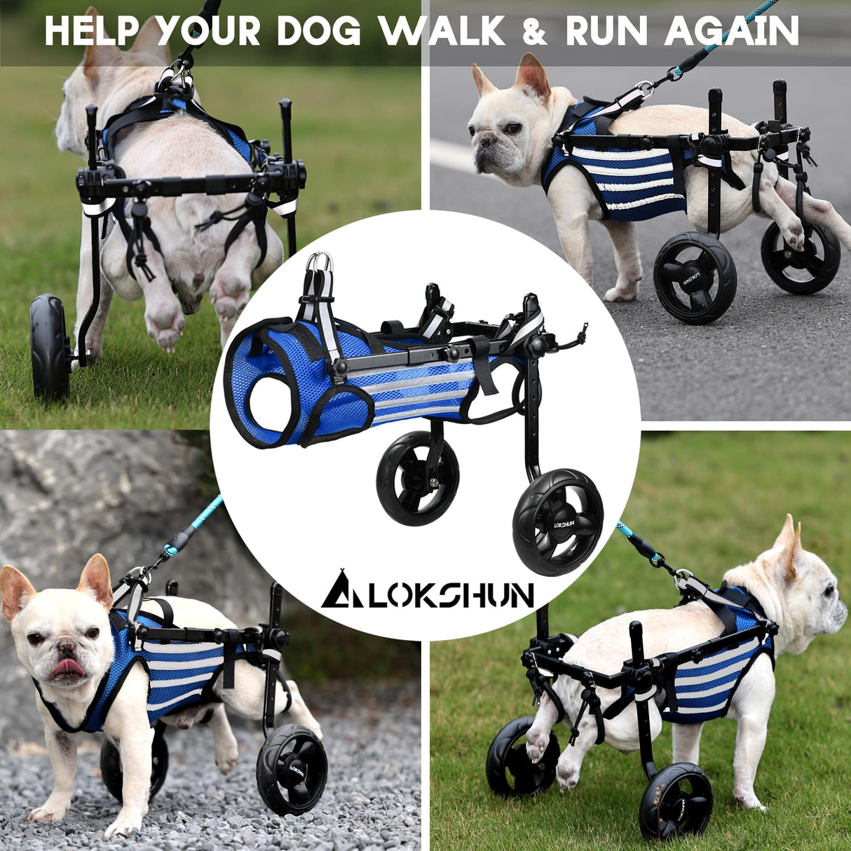 LOKSHUN Small Dog Wheelchair for Back Legs, Adjustable Rear Leg Mobility Support for Small Dogs up to 22 lbs, Lightweight Dog Mobility Cart with Harness, Heavy-Duty Wheels & 5ft Leash (Blue-XS).