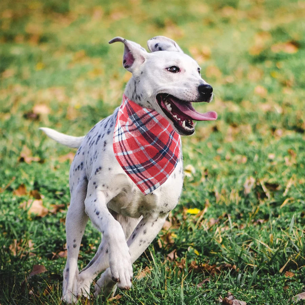 PET SHOW 50 Pack Bulk Plaid Cotton Dog Bandanas Small Female Male Cat Puppies Bibs Washable Triangle Head Scarfs Wholesale Medium Dogs Bandana Photo Prop Grooming Accessories