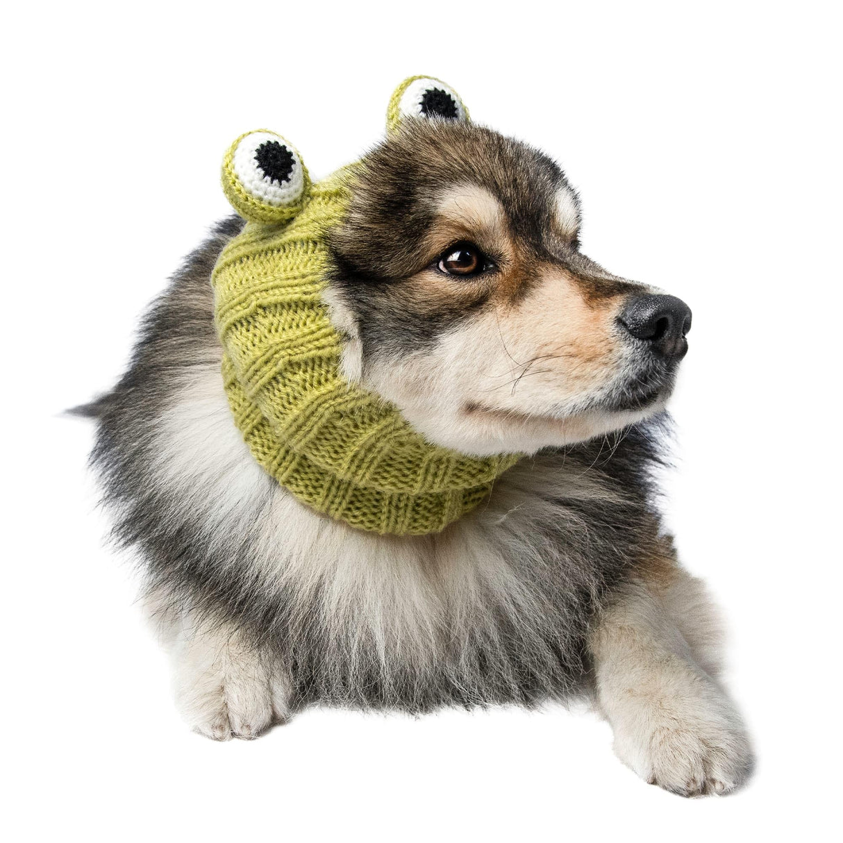 Zoo Snoods Frog Costume - Knit Dog Snood Ear Wrap for Pets, Warm Neck Cover for Halloween and Winter (Medium)